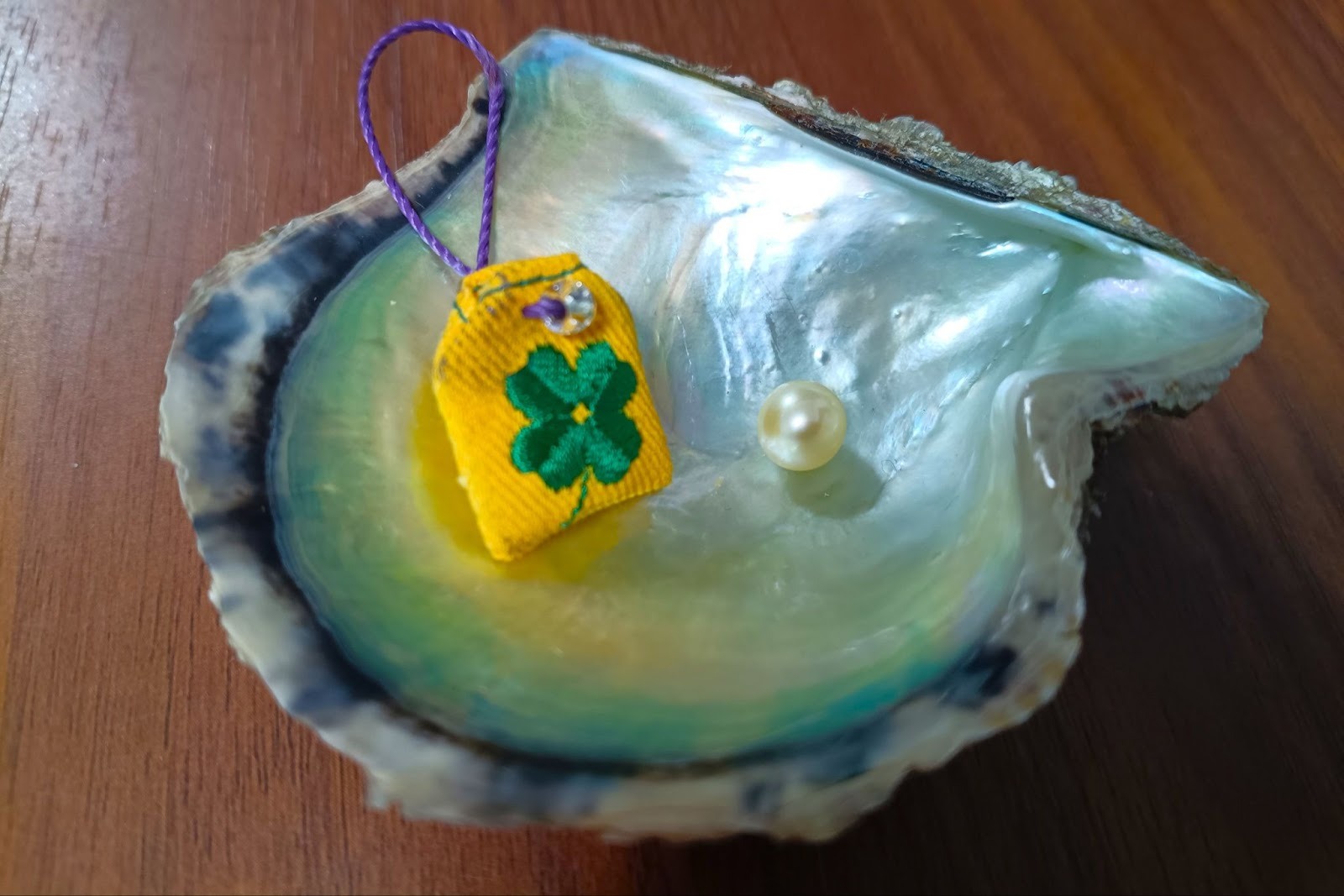 真珠と魚をはぐくむ海　愛媛県宇和島視察　～前編～