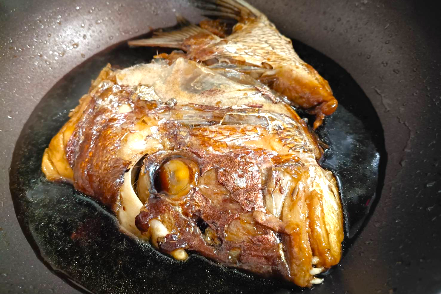 段々心魅かれてく　愛媛県宇和島視察　～後編～